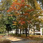 Waldstadt * 포츠담
