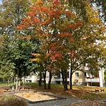 Waldstadt * 포츠담