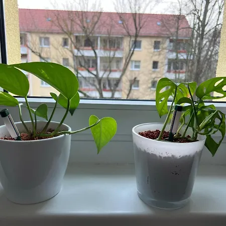 아파트 Waldstadt *