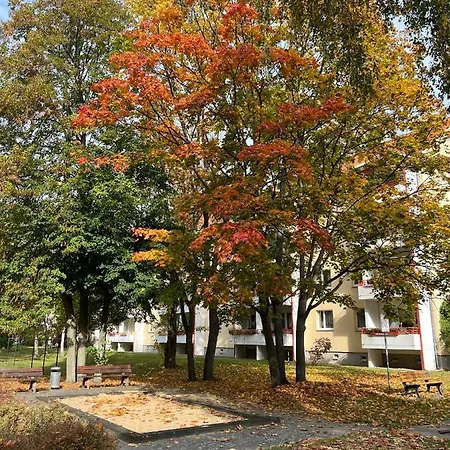 Waldstadt * פוטסדאם