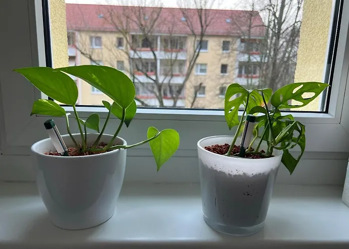 Lägenhet Waldstadt *